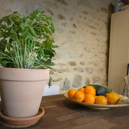 Appartement Beautiful With Terrace Near Bastille
